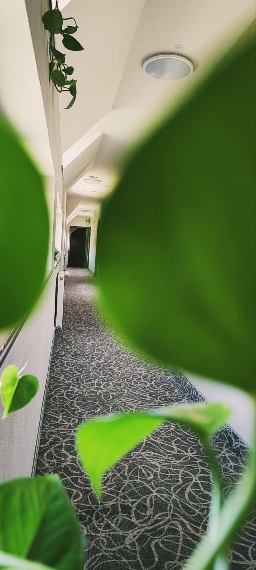 Pensiunea Luceafarul Sibiu Esterno foto
